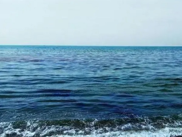 日本核廢水將排海-影響何以估量？